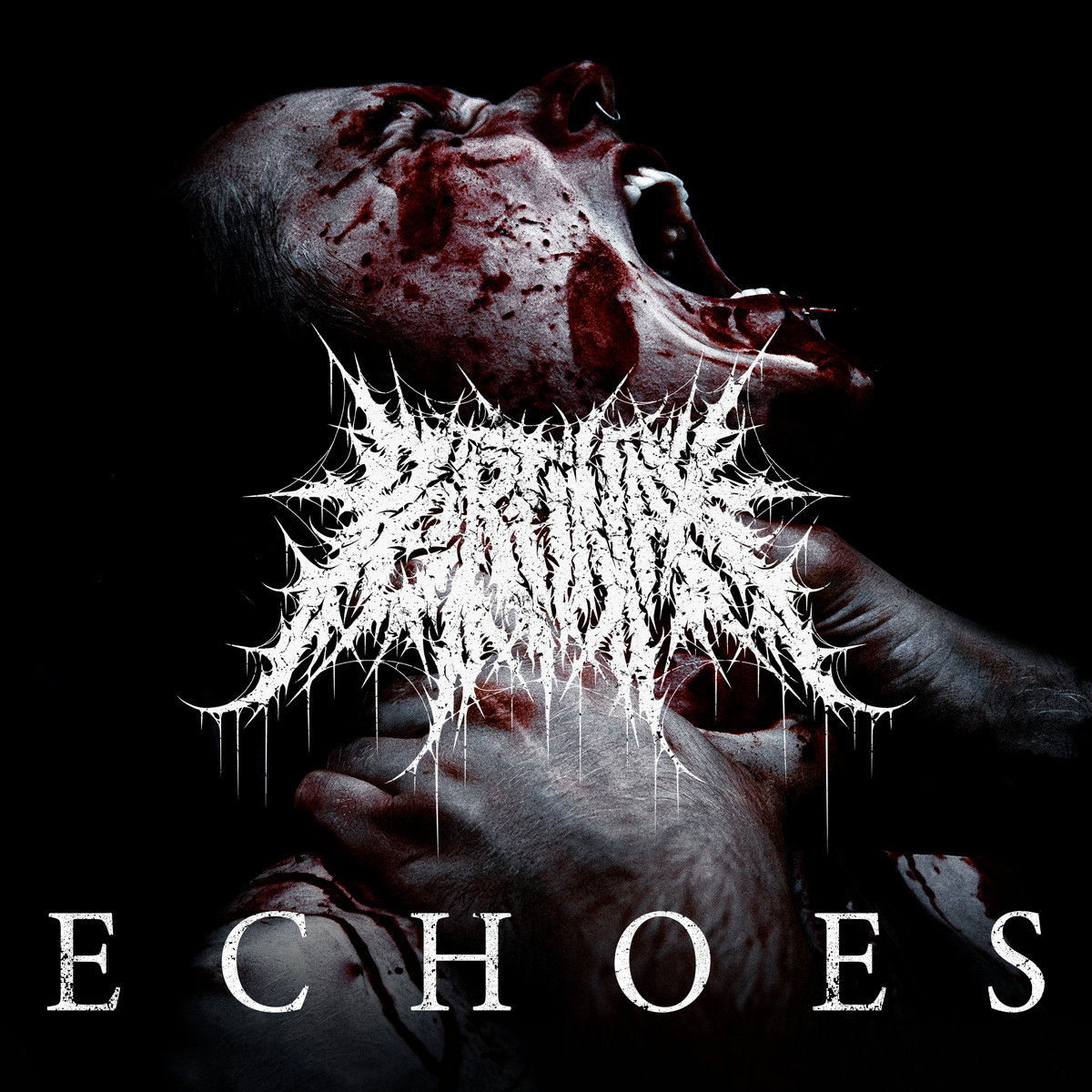 Produced / Mixed / Mastered